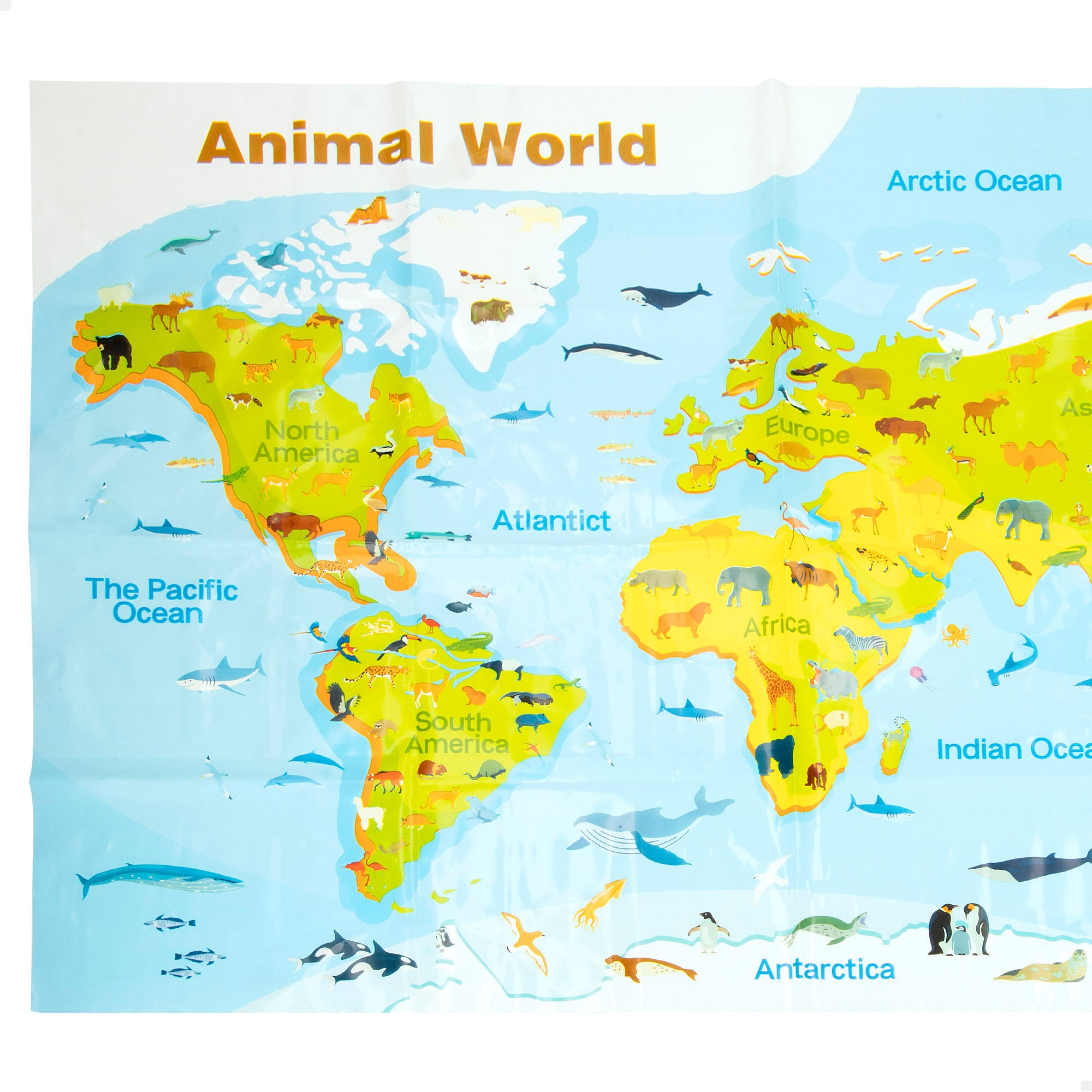 Conjunto de animais da quinta com tapete e acessórios, 30 peças. Mundo Animal.