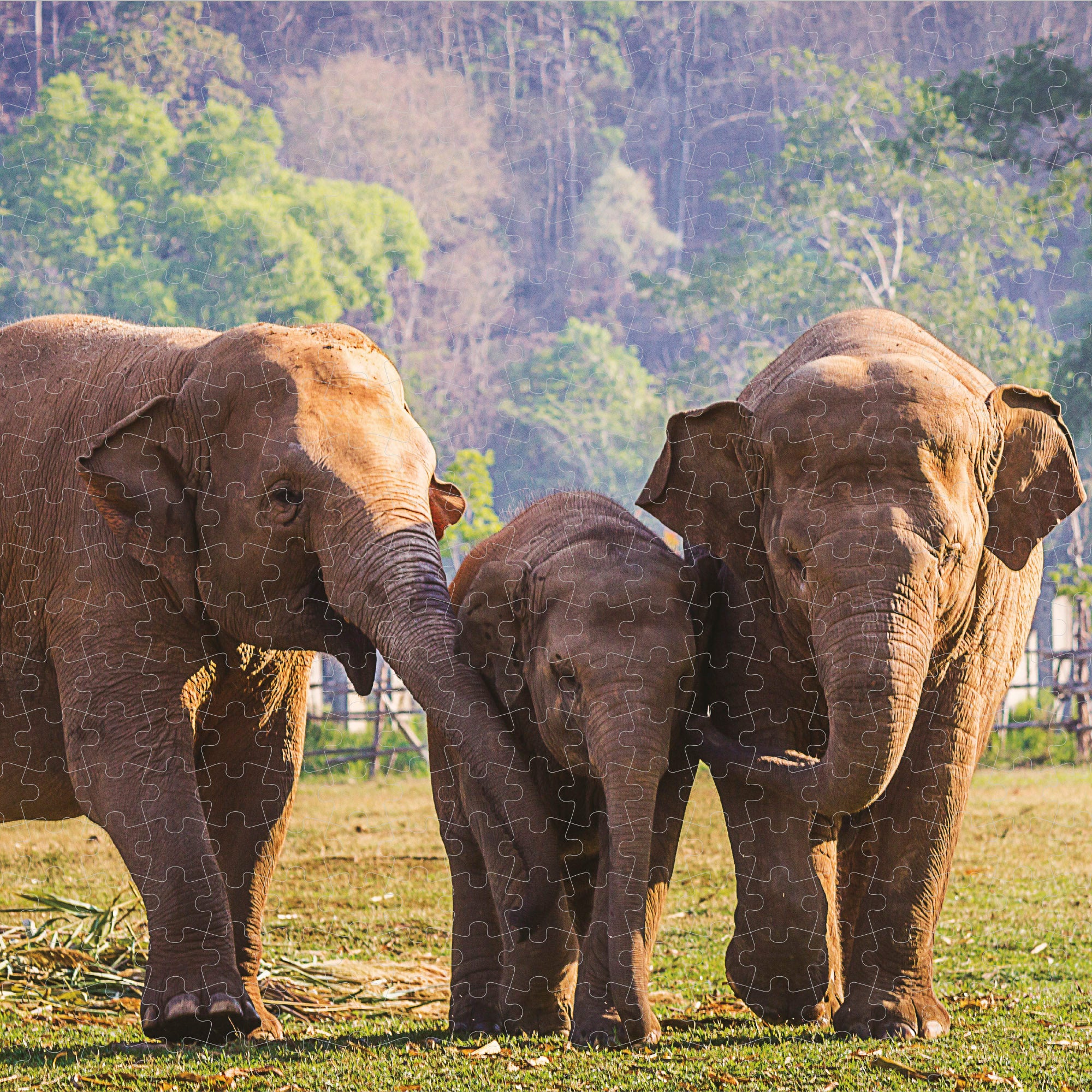 Puzzle infantil elefante, 500 peças, CB Toys
