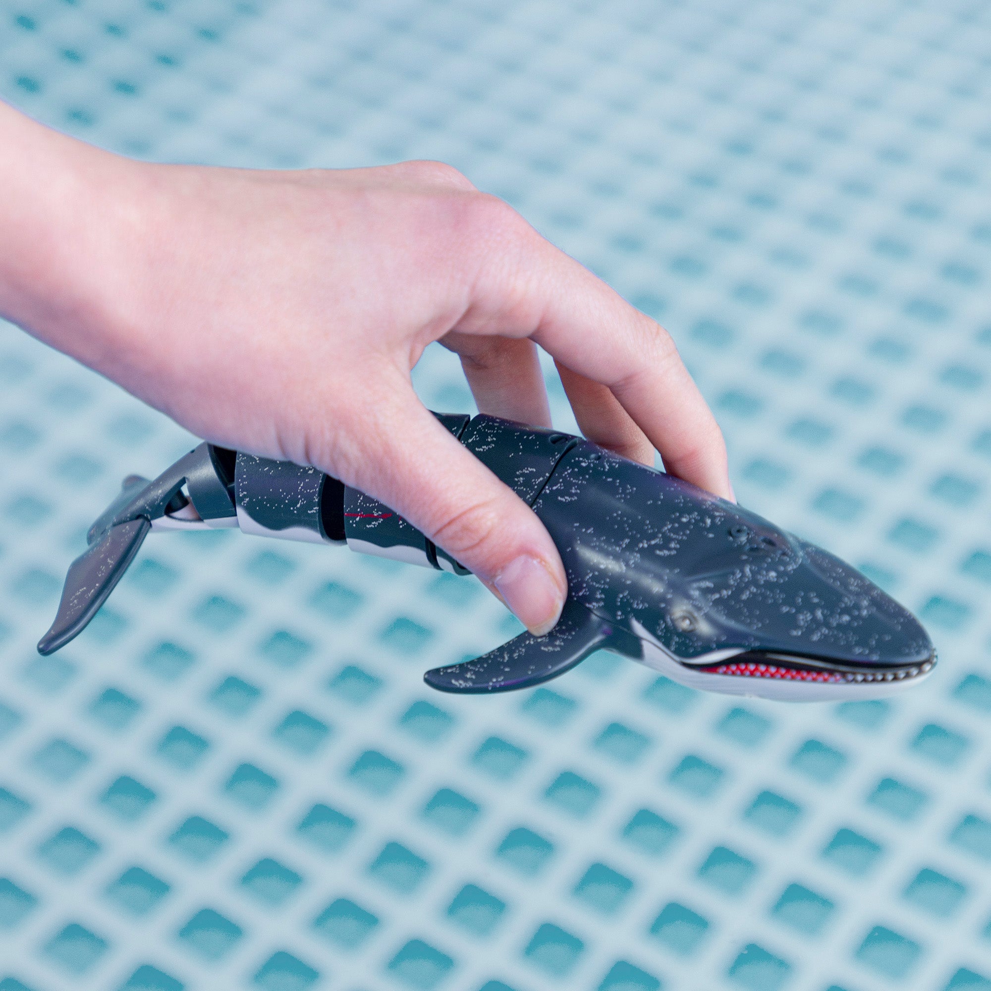 Baleia de brinquedo com controlo remoto, barco de corrida de 20 cm