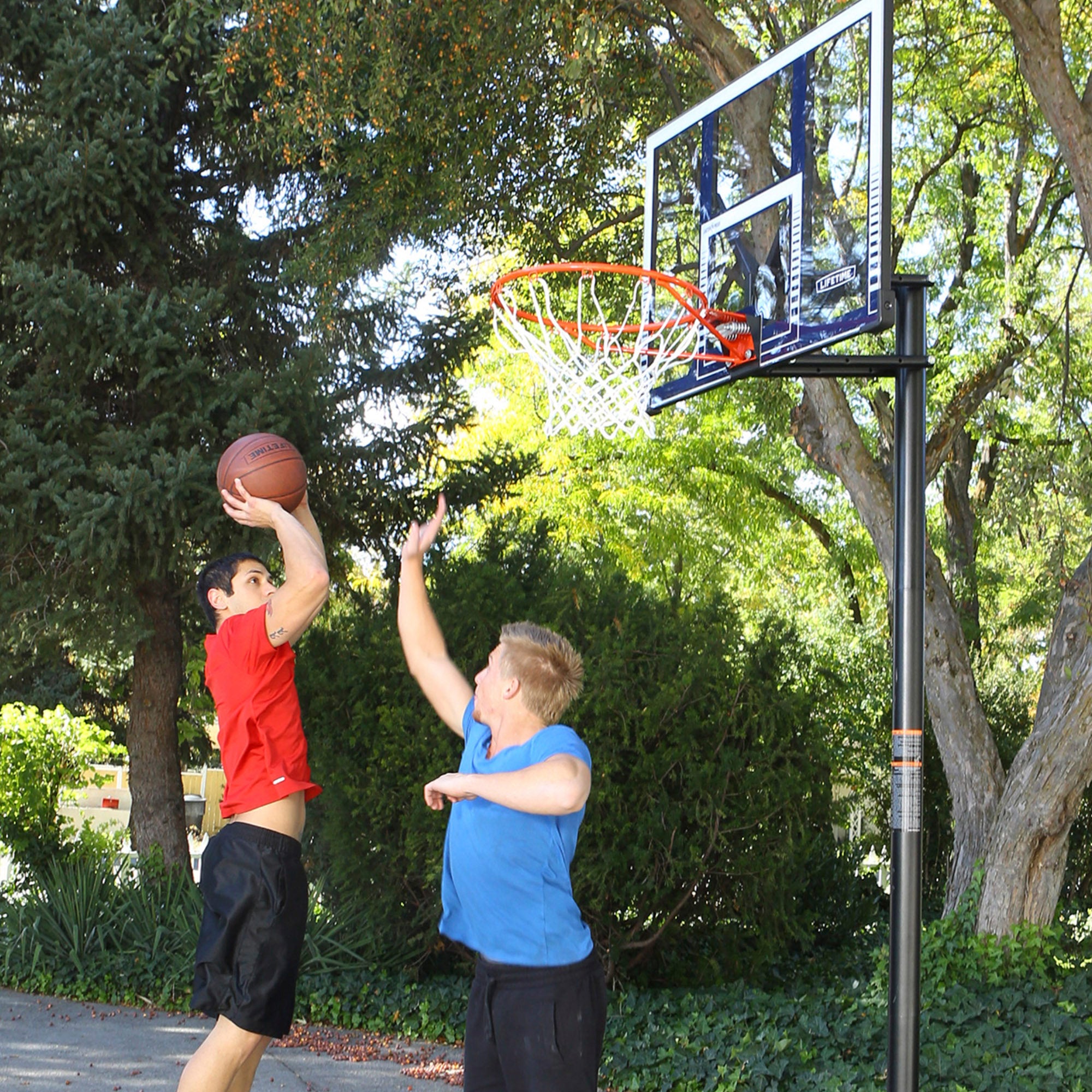 Cesto de basquetebol ultrarresistente LIFETIME, altura ajustável 244/305 cm, proteção UV100