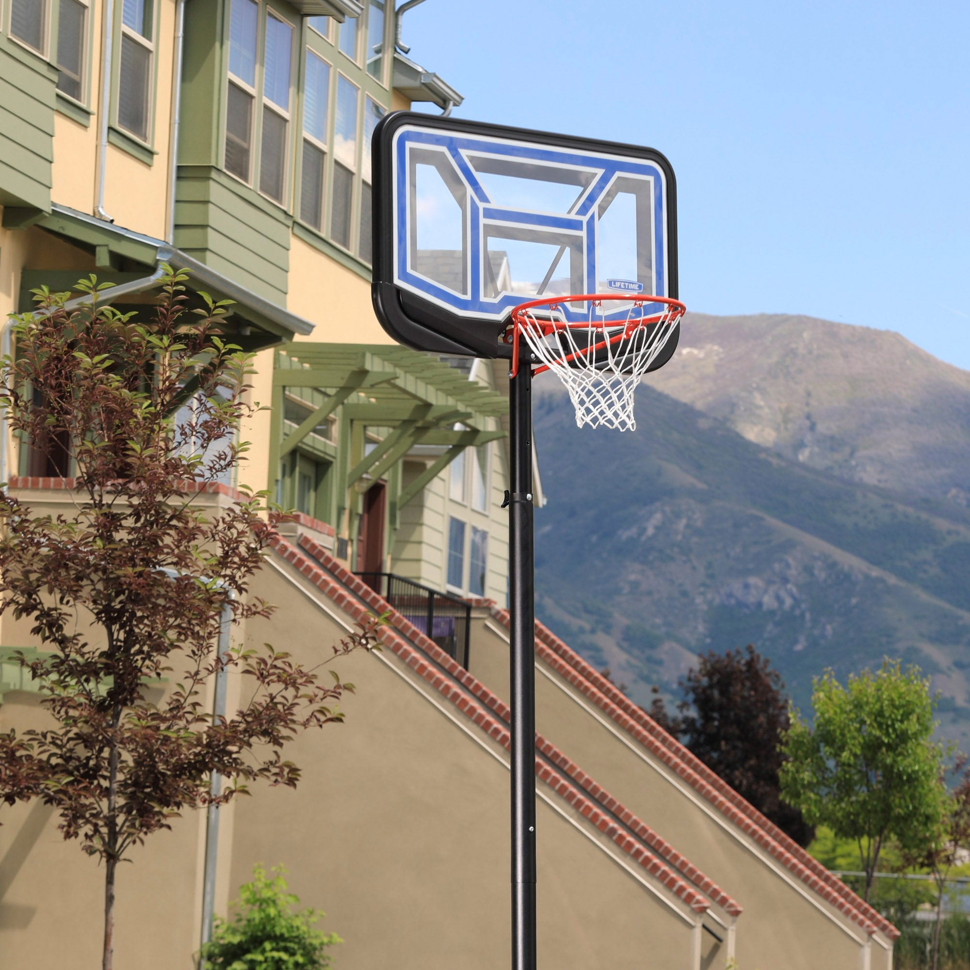 Cesto de basquetebol portátil LIFETIME, altura ajustável de 230/305 cm